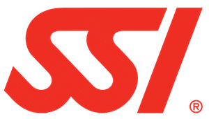SSI Logo